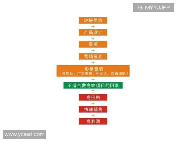 WE战队运营策略分析与成败得失的深度剖析