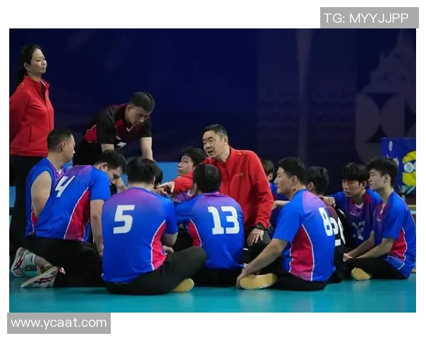 上海排球队实力分析与发展前景探讨聚焦排球运动的未来挑战与机遇