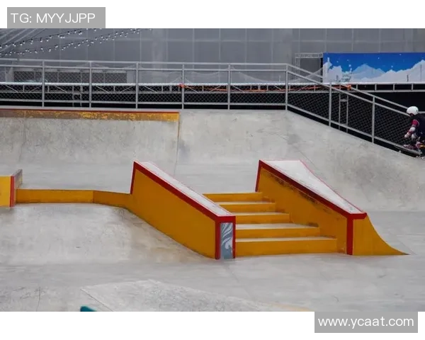 上海滑板队的管理模式与发展趋势深度解析