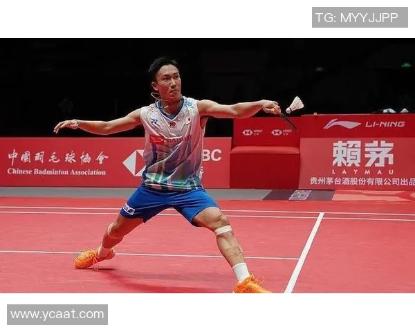 南京羽毛球队攻势变革探秘：从战术创新到技术提升的全景分析