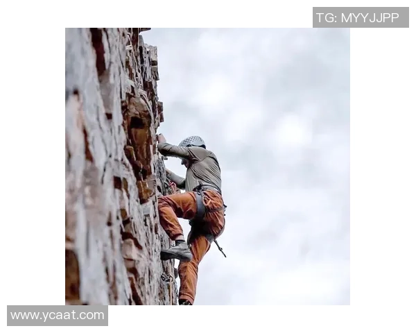 南京攀岩队速度对比独家深度解析与训练策略探讨