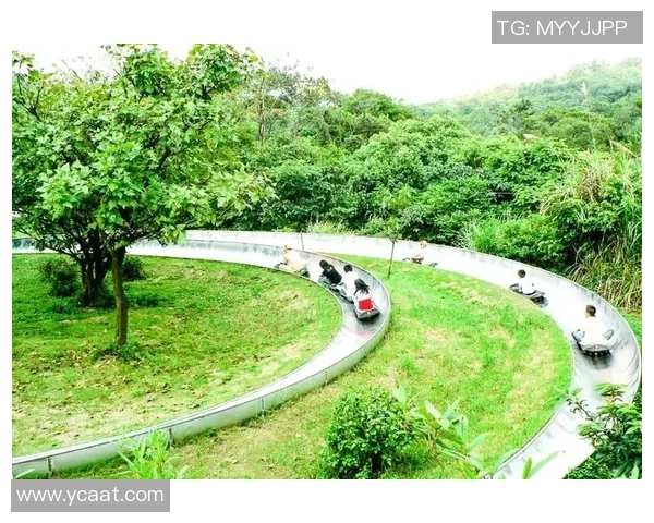 广州极限运动队的表现分析与控制策略的得失探讨