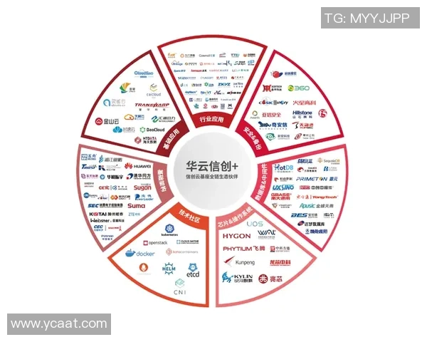 广州飞盘队个人能力分析与表现评估的全面数据研究