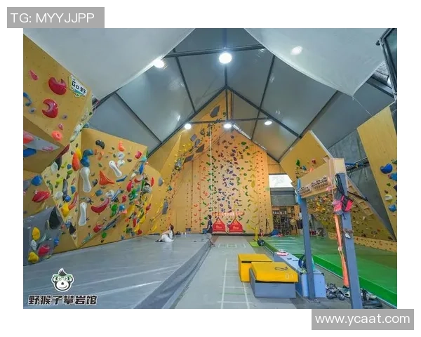 攀岩热潮下的心理素质探讨上海攀岩队的挑战与争议分析