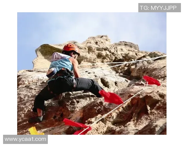 攀岩之路：张丽分享她的挑战与成就的精彩对话